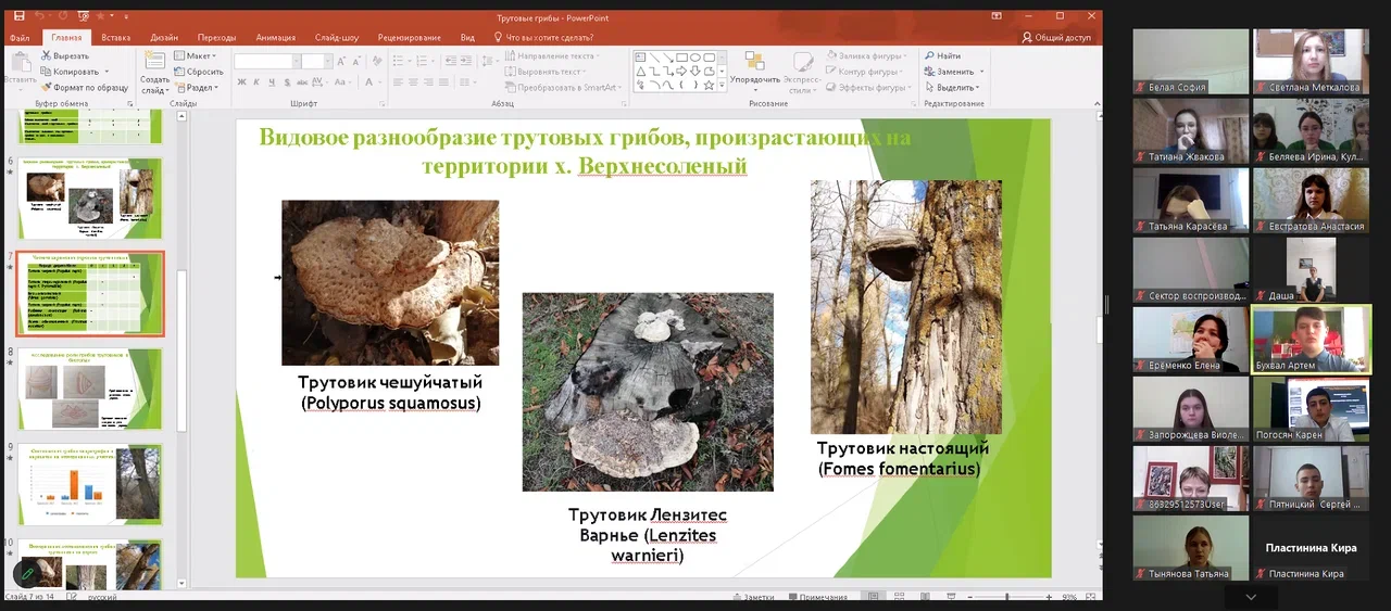 Завершился региональный этап Всероссийского юниорского лесного конкурса 